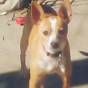 Meet your Posher, Andy